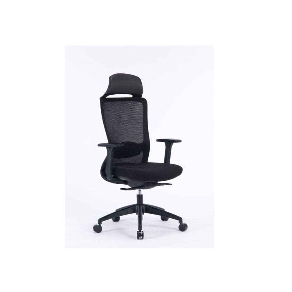 High Back Mesh Finish With HEadrest Black (AA-5317BK)